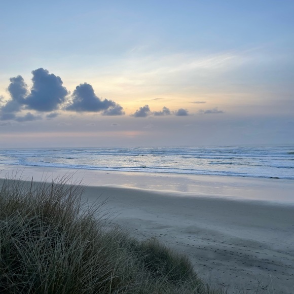 Meet your Posher, Suzi - Picture 7 of 7